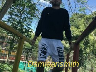 Damiaansmith
