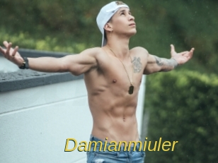 Damianmiuler