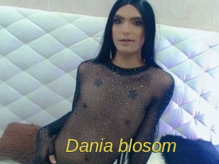 Dania_blosom