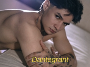 dantegrant Archive DVD ORG