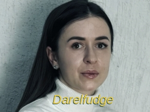darelfudge Archive DVD ORG