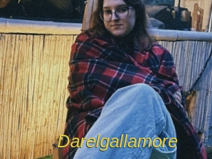darelgallamore Archive DVD ORG