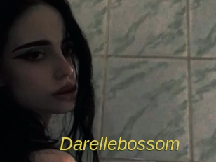 Darellebossom