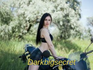 Darkbigsecret