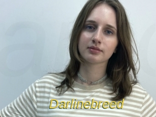 Darlinebreed
