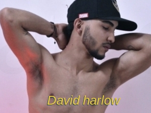 david_harlow Archive DVD ORG