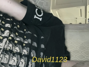 David1123