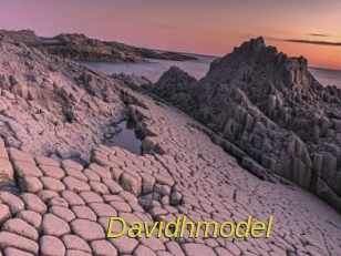 Davidhmodel
