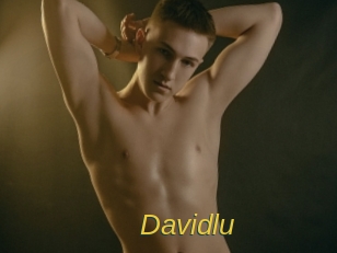 Davidlu