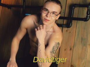 Davidtiger