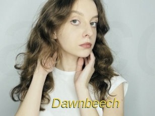 Dawnbeech