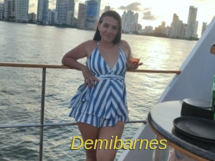 Demibarnes