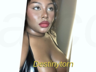 destinytorn Archive DVD ORG