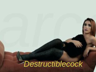 Destructiblecock