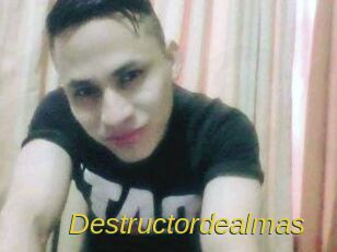 Destructordealmas