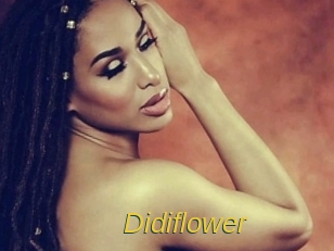 Didiflower