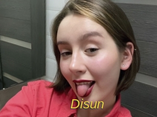 disun Archive DVD ORG