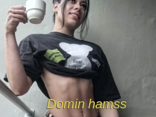 Domin_hamss