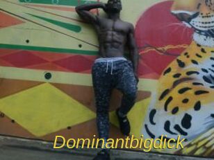 Dominantbigdick