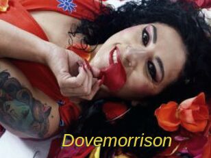 Dovemorrison