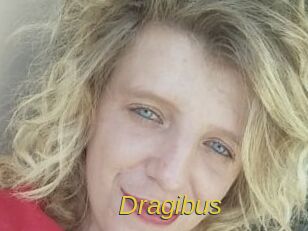dragibus Archive DVD ORG
