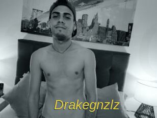 drakegnzlz Archive DVD ORG