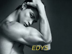 EDYS
