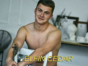 ELFIN_CEDAR