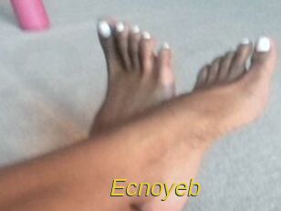 Ecnoyeb Archive DVD ORG