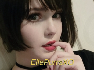 EllePurrsXO