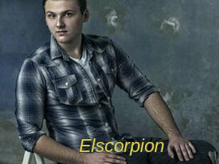 Elscorpion