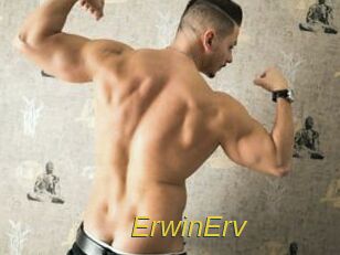 ErwinErv