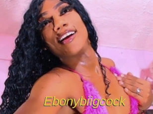 ebonybiigcock Archive DVD ORG