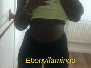 Ebony_flamingo
