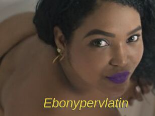 Ebonypervlatin