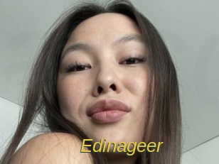 Edinageer