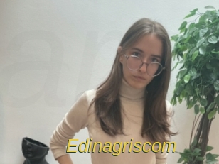 Edinagriscom