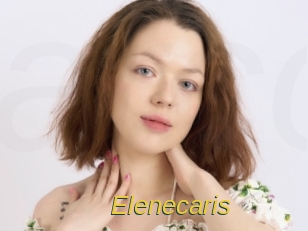 Elenecaris