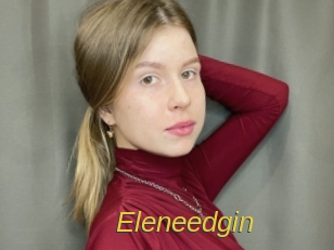 Eleneedgin