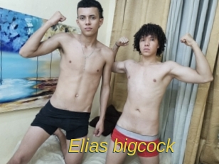 elias_bigcock Archive DVD ORG