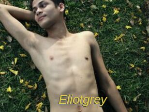 Eliotgrey