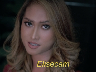 Elisecam