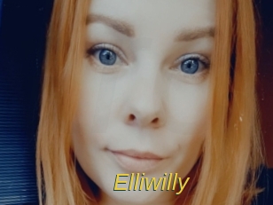 elliwilly Archive DVD ORG