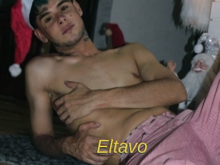 eltavo Archive DVD ORG