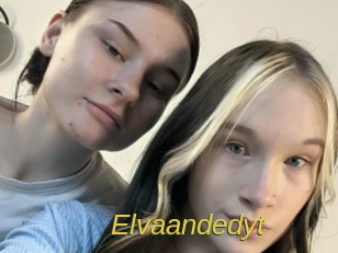 elvaandedyt Archive DVD ORG