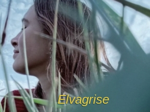 Elvagrise