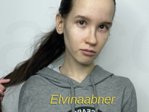 Elvinaabner
