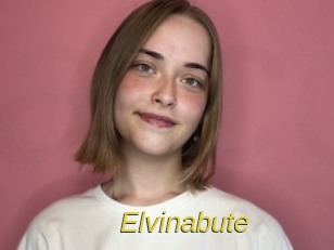 Elvinabute
