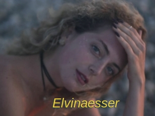 Elvinaesser