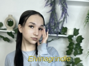 Elvinagrindle